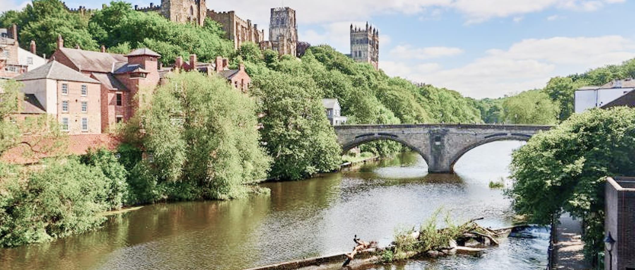 Sharing a Room at John’s, 2024-25